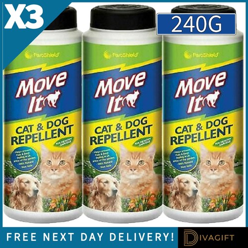 Cat dog animal - x,