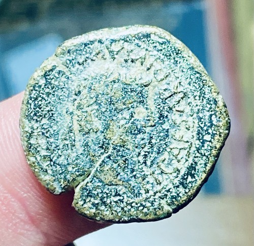 Tiberius semis osca - ae,