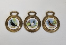 THREE VINTAGE CERAMIC INSERT HORSE BRASSES DEPICTING PIGEONS PIGEON FANCIER