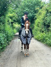 Horse Masters Zebra Print Ride