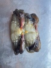 Peeler Crab (Asian) soft backs