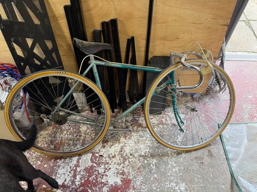 Vintage giant road bike - giant,