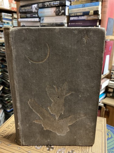 The grey fairy book andrew - fairy,