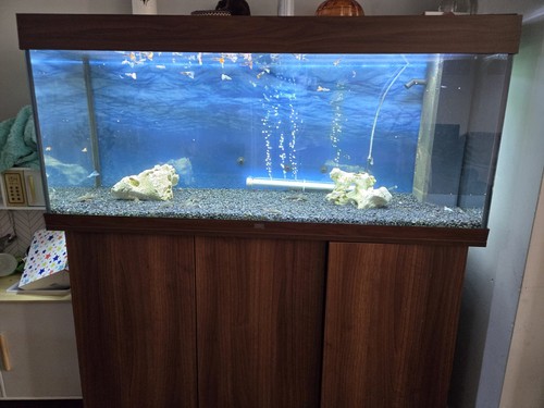280 litres juwel aquarium - 280,