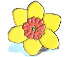 Yellow daffodil national - yellow,