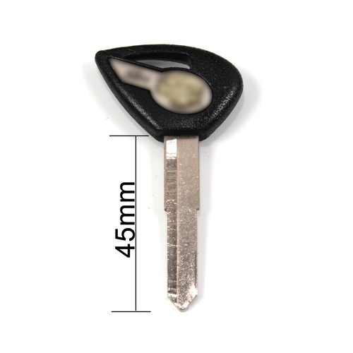 Uncut blade blank ignition key - uncut,