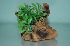 Vivarium Detailed Driftwood