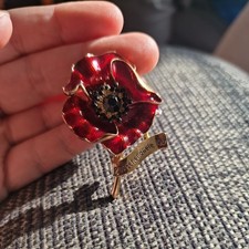 Passchendaele 100 Badge /