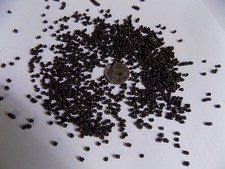 Catfish Pleco Cichlid Plec Food Complete Sinking 2mm-4mm Pellet  Fish  Aquarium