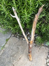 44cm FORKED DRIFTWOOD Sea Wood Branch Stick  Xmas sculpture Hanging Tree Display