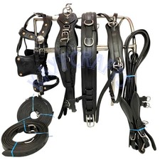 Black Leather Horse Driving