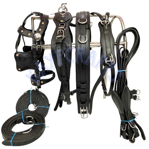Black leather horse driving - leather,