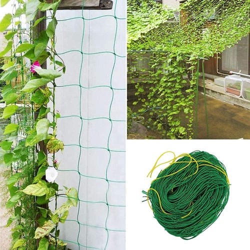 2pack trellis netting - netting, climbing