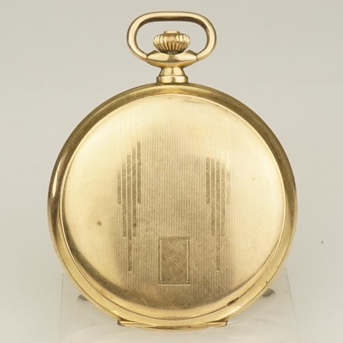 Rare gold fullhunter - gold,