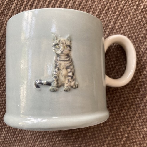 Waitrose tabby cat kitten - tabby, mug