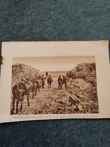 Sk267 ephemera 1916 ww1 - sk267,