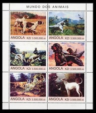 GUN DOGS POINTER ENGLISH