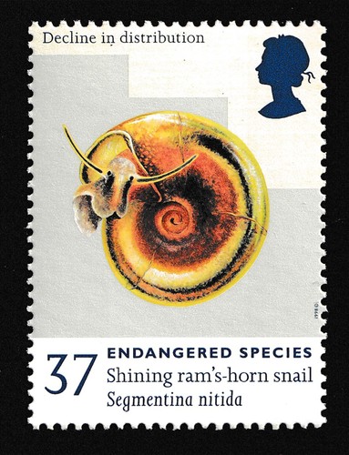 1998 37p shining rams horn - 37p, rams-horn