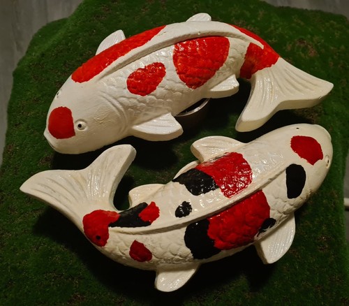 Large pair koi carp fish - pair,