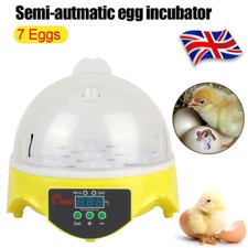 7 Eggs Incubator Automatic