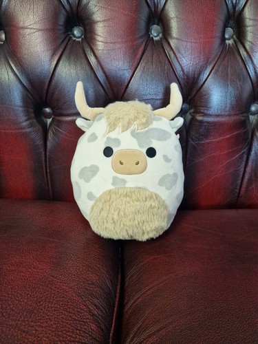 Angus cow squishmallows soft - cow,