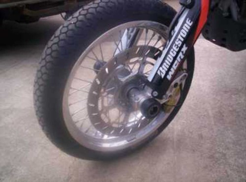Fork protectors front - r&g,