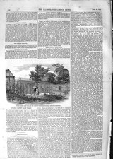 Original Old Antique Print 1852 Ewing Patent Glass Wall Horticultural Victorian