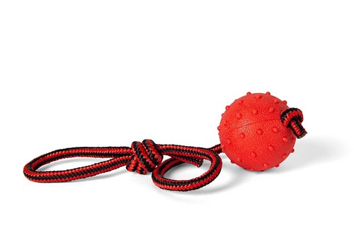 Ball string dog toy - ball, on