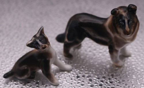 Mum pup collies - pup,