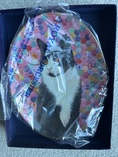 Royal Worcester Ivory Cats Chesterton on Pink Hexagons Plate Lesley Anne Ivory