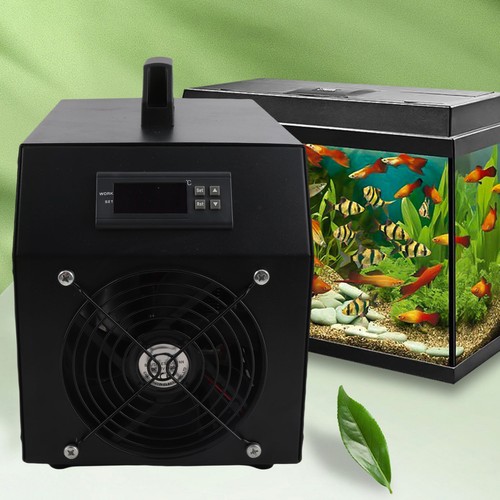Plug 100 240v - eu, 100‑240v