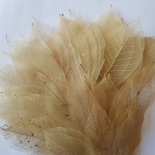 25 Natural Colour Real