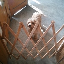 Pet Gate Dog Sliding Door