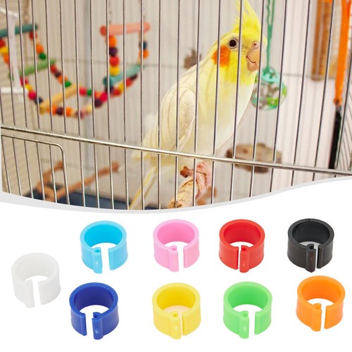 2018 newest chicks rings - newest,
