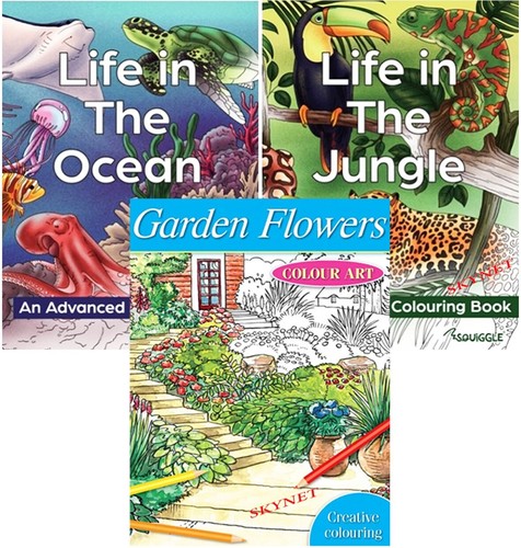 Colouring books for adults - 3,