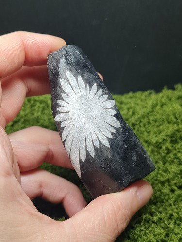 Rough chrysanthemum stone - chrysanthemum,