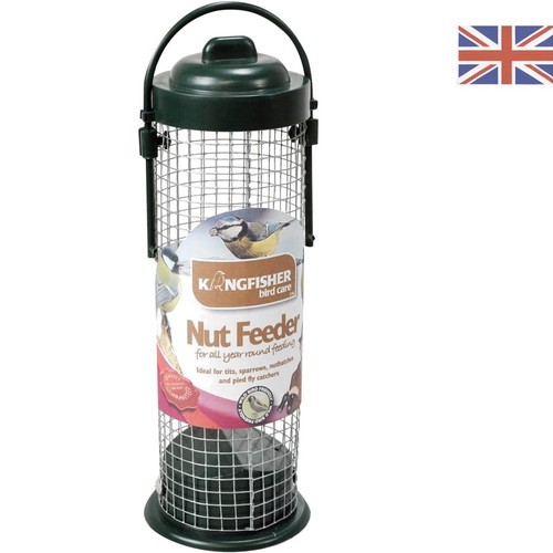 Compact transparent green bird - compact,