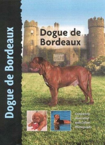 Dogue bordeaux dog breed - bordeaux, (dog