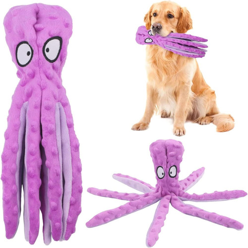 Rayito octopus dog - octopus, no