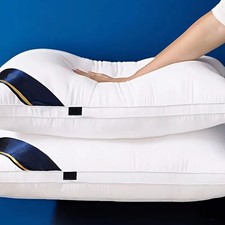 2Pcs 5 Star Hotel Pillows