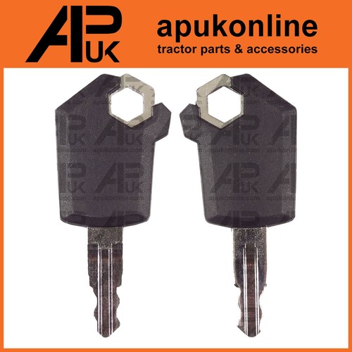 Key for cat caterpillar - key,
