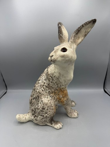 New winstanley arctic hare - arctic,