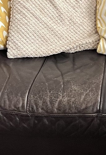 Brown leather seater - brown,
