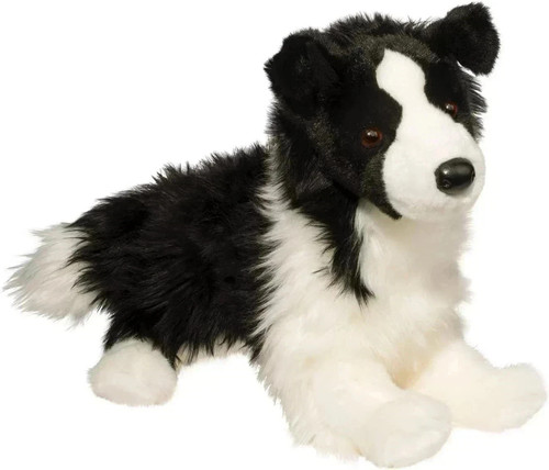 Dougles chase border collie - border,