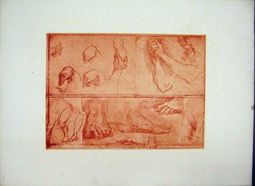 Old antique print - antique, andrea