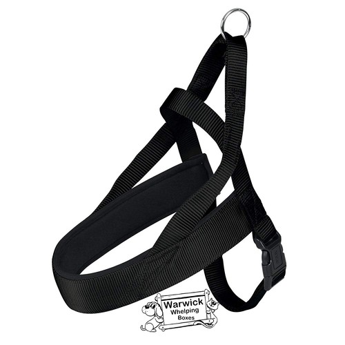 Dog harness padded comfort m - dog,