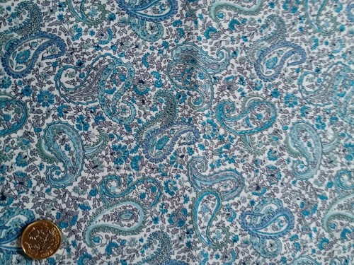Remnant piece paisley - remnant,
