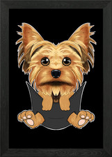Yorkshire Terrier Puppy Framed
