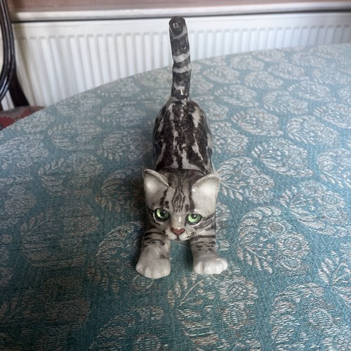 Winstanley tabby cat size - ,