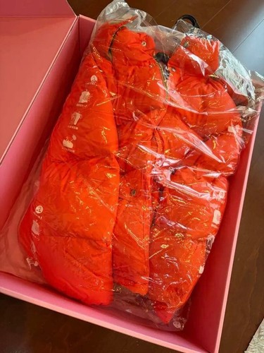 The north face gucci orange - north,